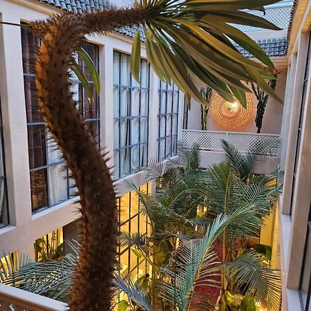 Miostello Lifestyle Riad-3