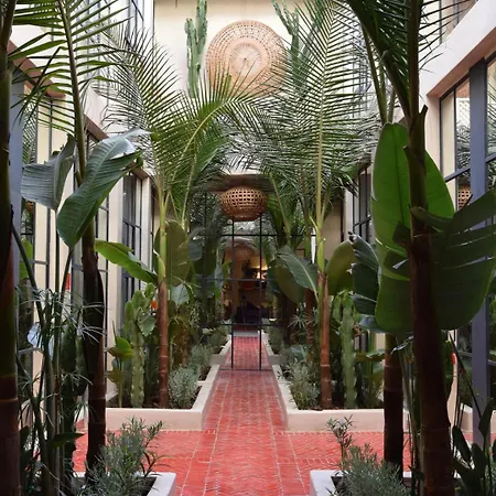 Miostello Lifestyle Riad-2